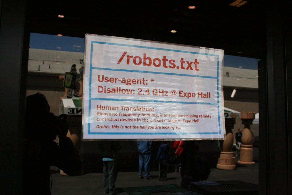 Understanding the Robots.txt File: A Key to Navigating the Web Crawling Landscape