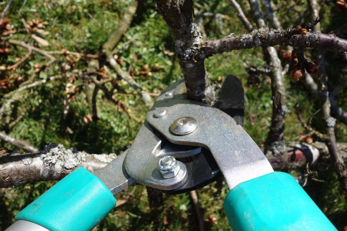 Measuring the Impact of Content Pruning: Maximizing Results and Long-Term Success