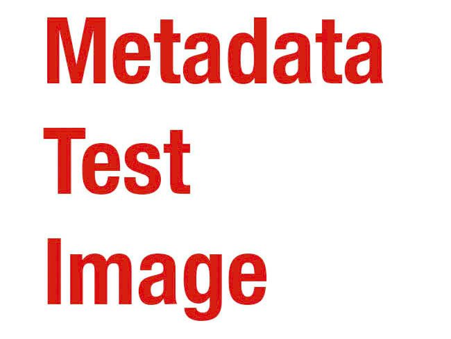 Leveraging Metadata for Enhanced Search Engine Crawling and Indexing