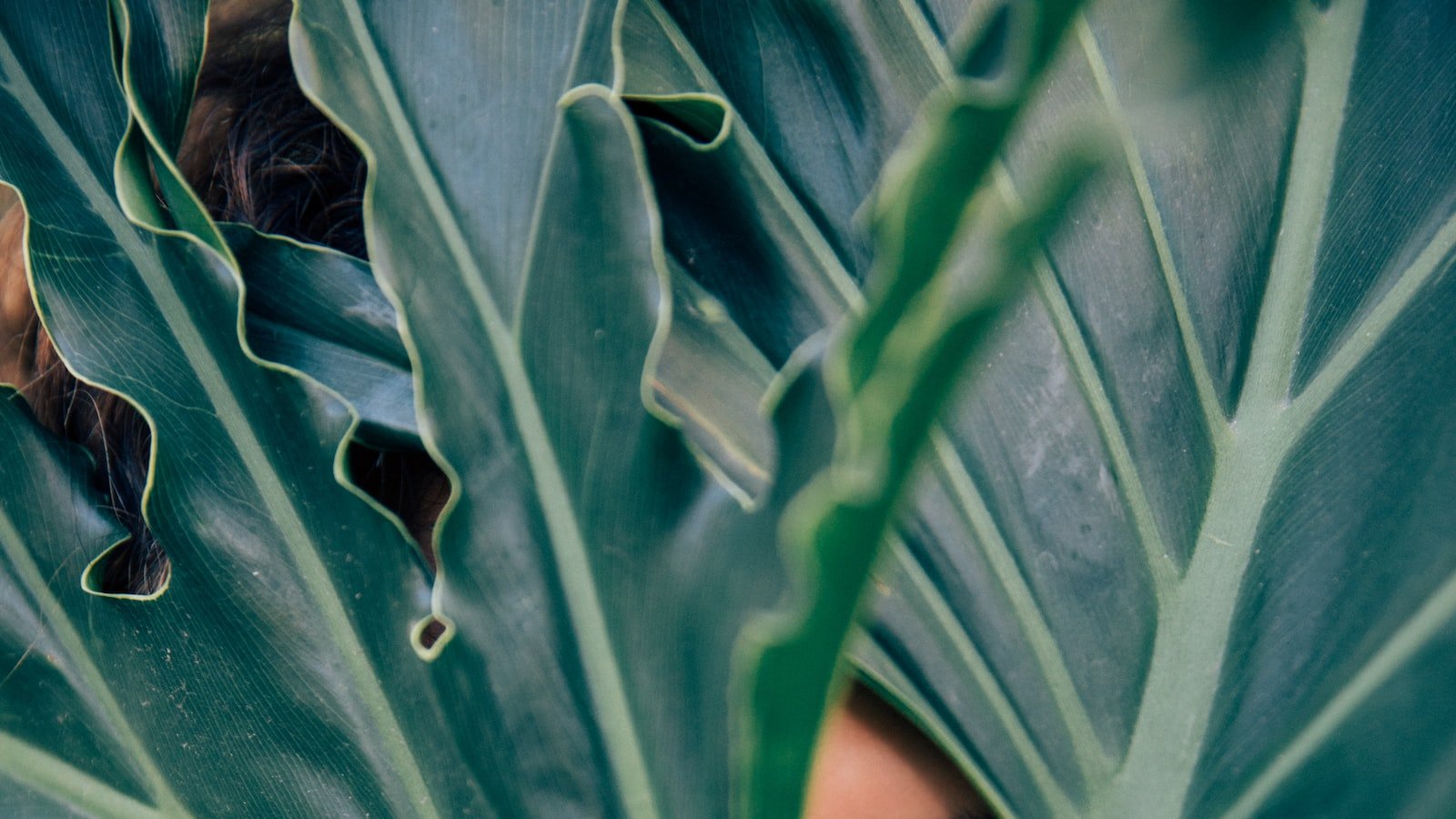 2. Strategies for Cultivating a Strong Online Presence: From Building Personal Branding to Engaging Content