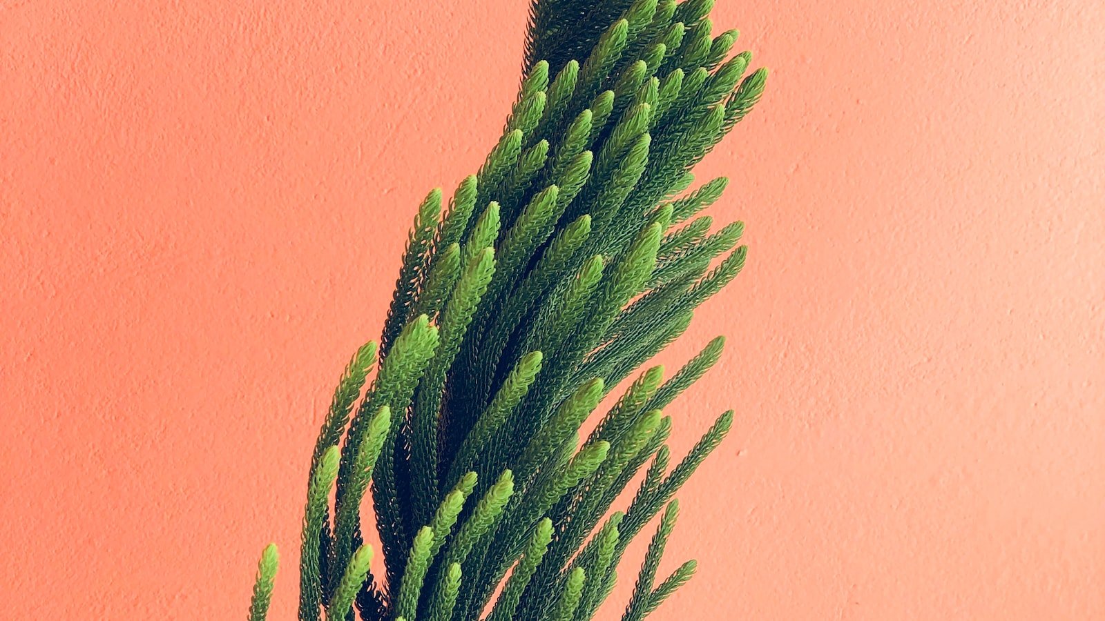 Maximizing User Experience with Responsive Design