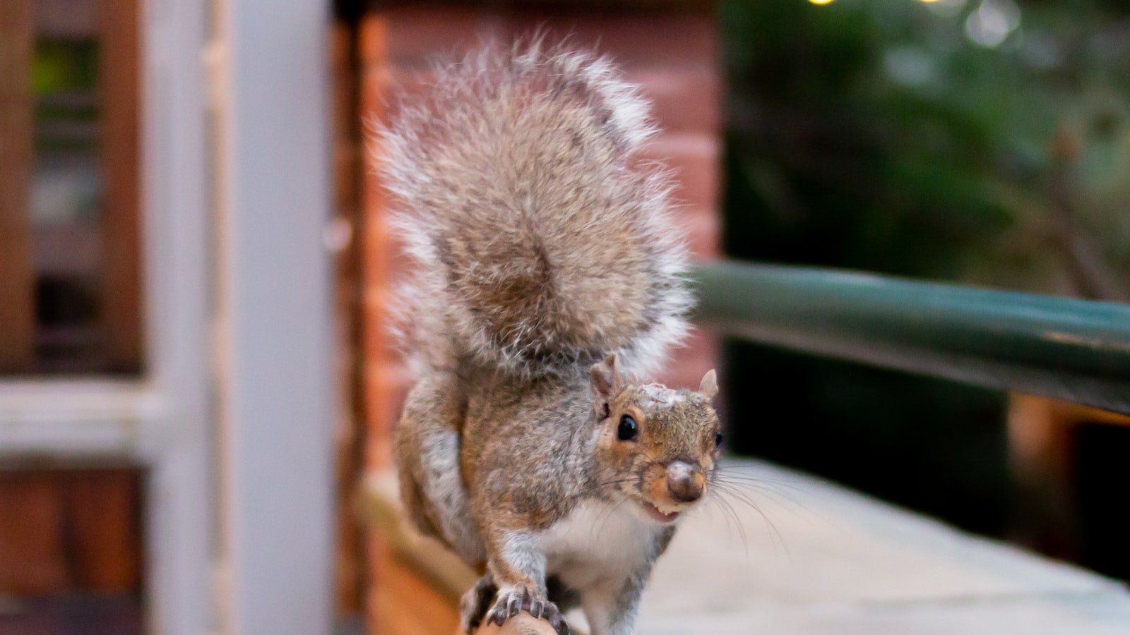 Diving Deeper: Understanding the Significance of Long-Tail Keywords in Targeting