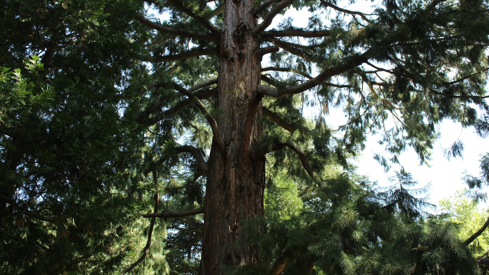 The Rise of Eco-Friendly Products: A Sustainable Solution for a Greener Future