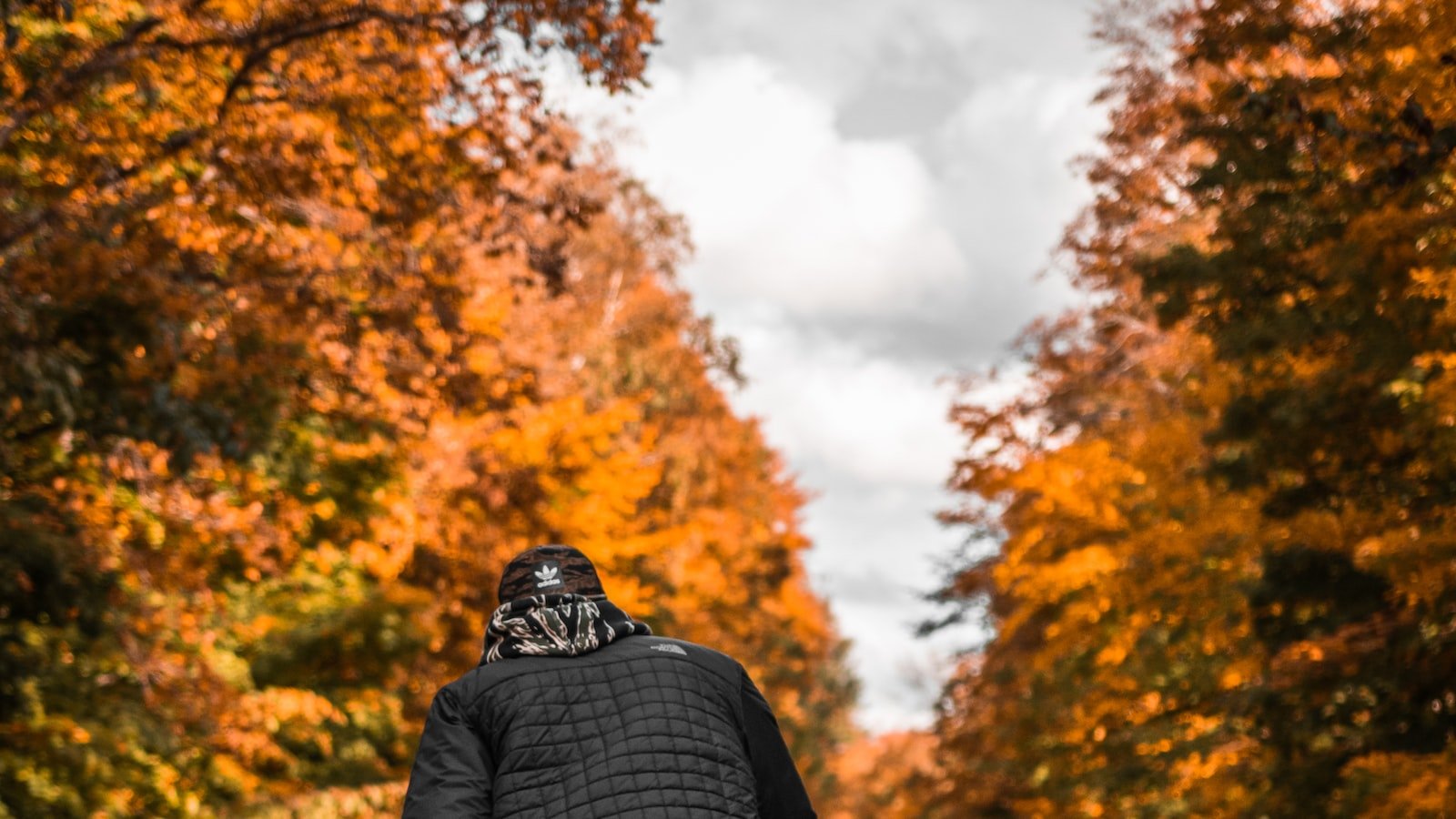 1. Maximizing User Engagement: Unleashing the Power of Push Notifications
2. Crafting High-Impact Push Notifications: Strategies and Best Practices
3. Tailoring Push Notifications to User Preferences: Personalization is Key
4. Nurturing Web Traffic with Reengagement Campaigns: Retain and Reactivate Users