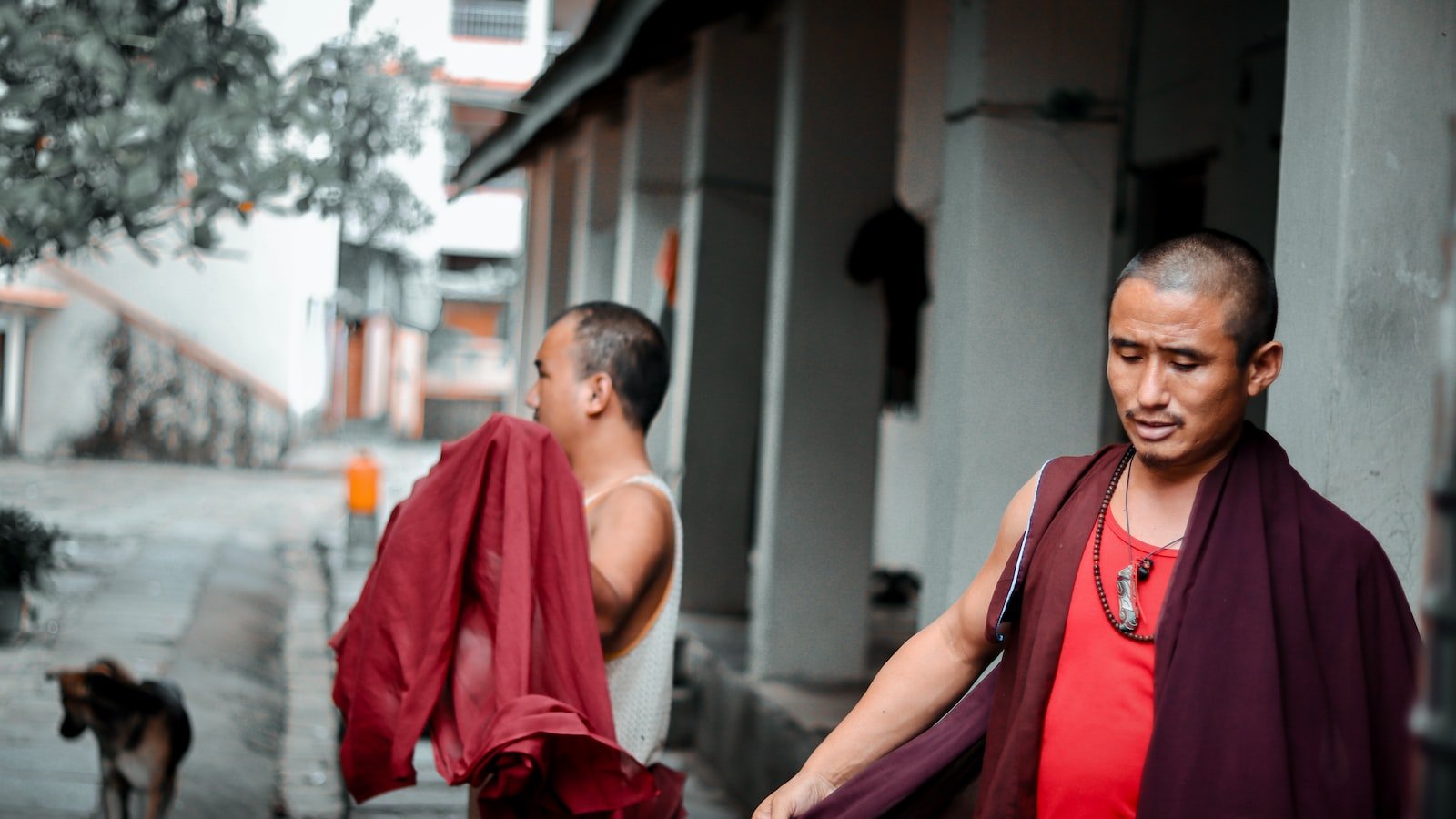 From Novices to⁢ Virtuosos:‍ Unleashing the Power of​ User-Generated Content Contests