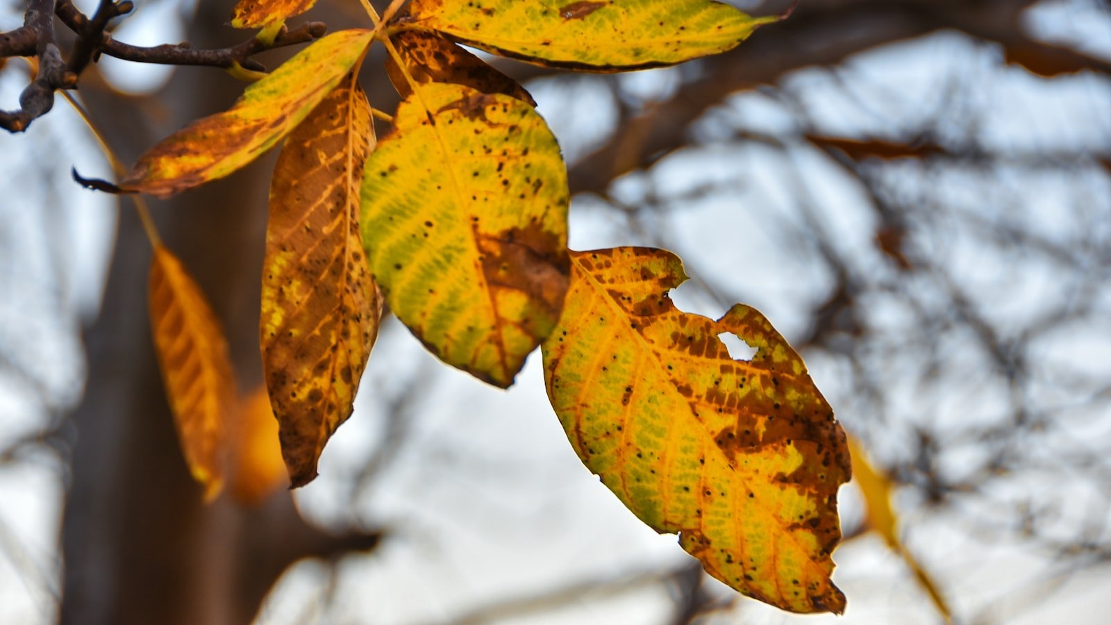 Understanding the Power of Seasonal SEO: Unlocking the Secrets!