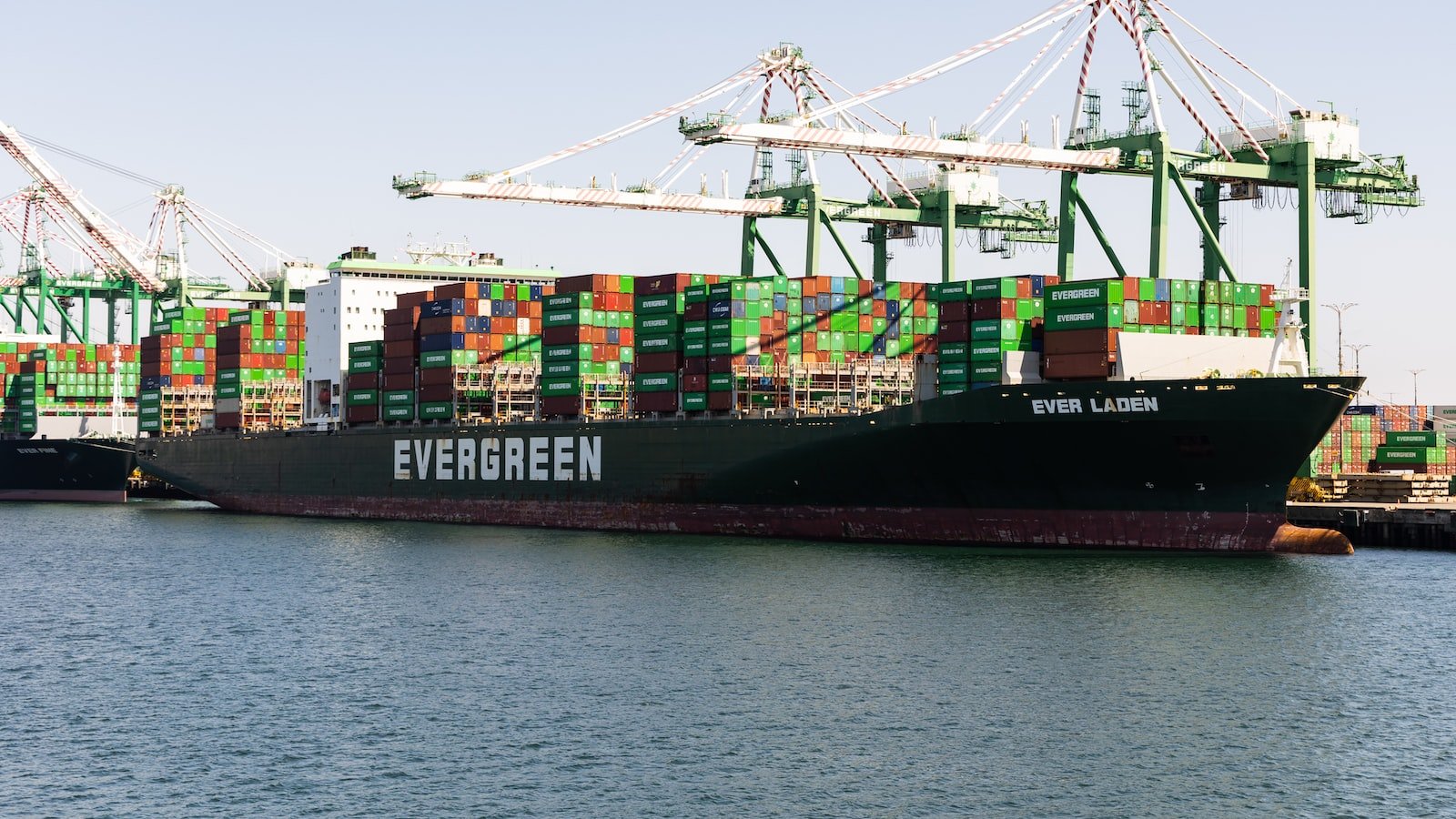 The Growing Demand for Diverse Shipping Options: Catering to the Expectations of Modern Consumers