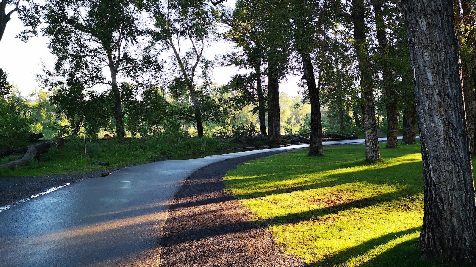 Unveiling the Secrets of Competitors' Pricing Under Scrutiny