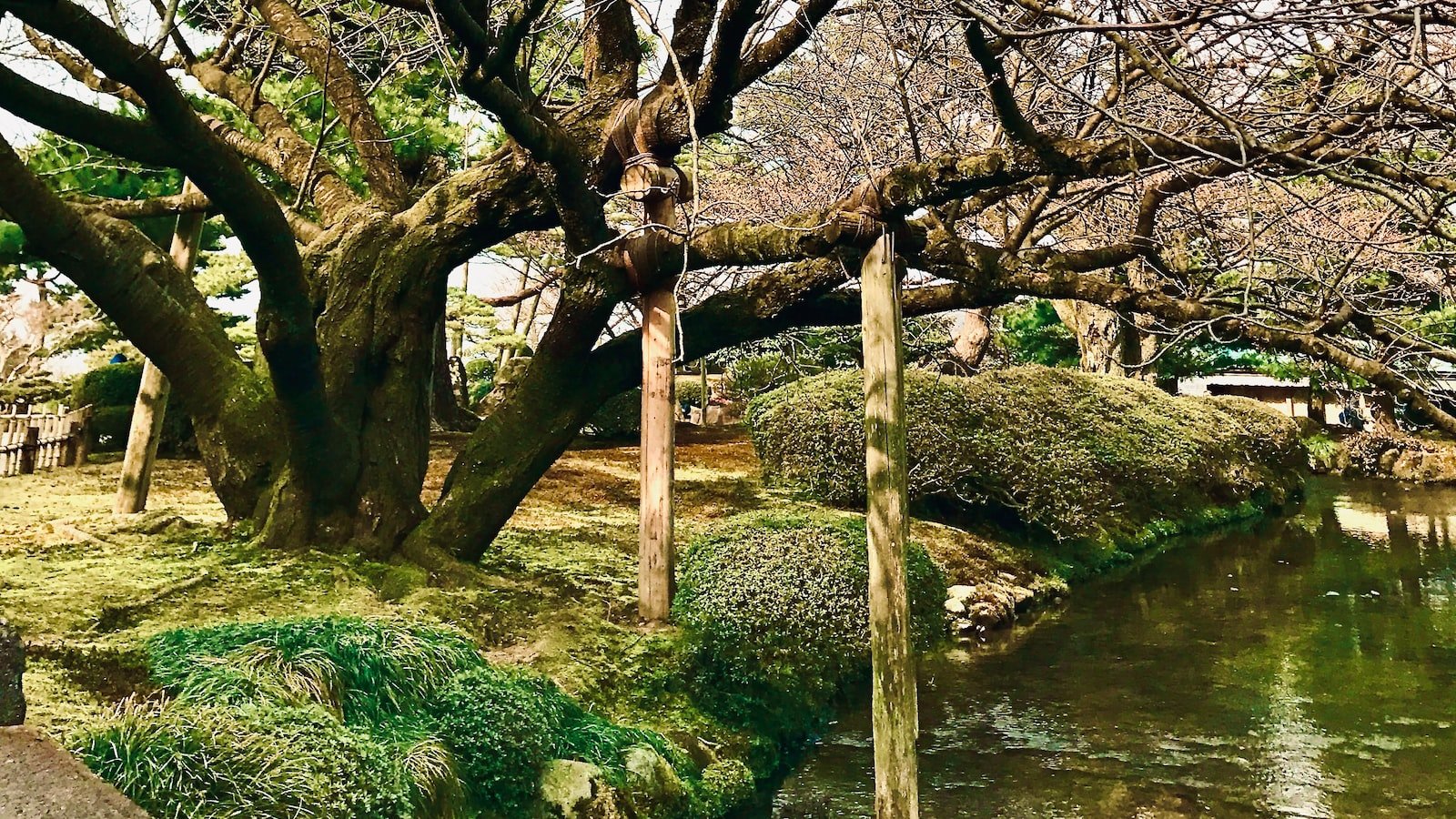 1. Infusing Authenticity: Crafting⁤ Compelling Narratives that Engage Readers
2.⁤ Harnessing the Power ⁤of Visuals:‍ Creating Captivating Multimedia Content
3. Unconventional Inspiration: Tapping into Unexpected Sources for Unique Ideas
4. The Art of Refinement: Polishing Your ​Content for Exceptional Quality