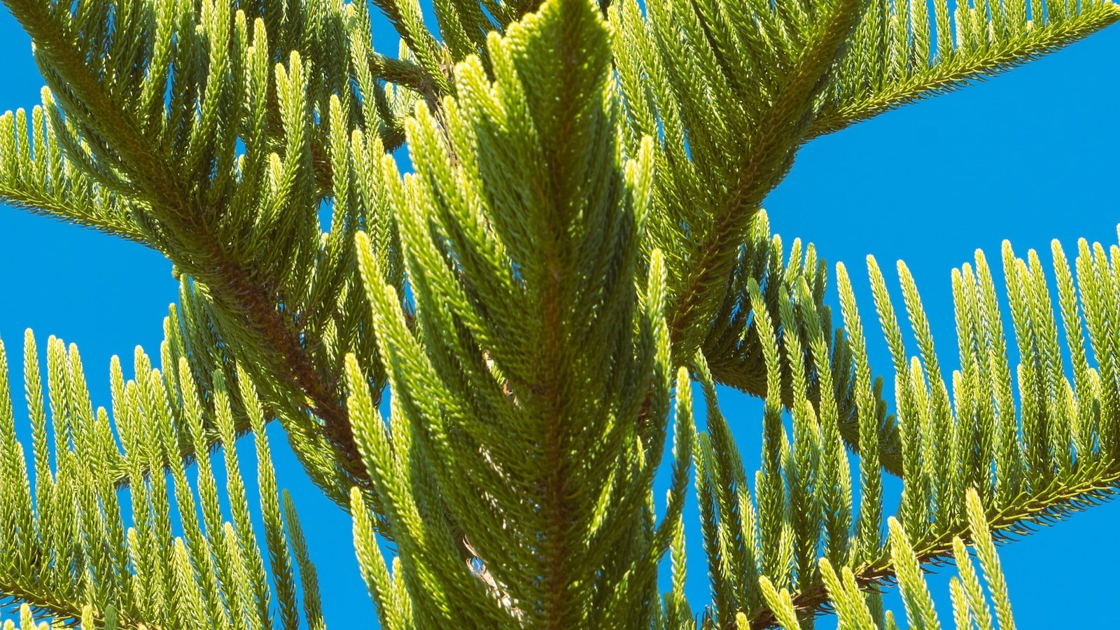 Riding ⁤the Waves: Understanding the⁣ Impact ⁢of the Digital Realm on ‍Reputation Management
Building ⁢a Lifesaver: Essential Strategies for Proactive Reputation ⁣Management ‌in ⁢the Digital Age
Weathering the Storm: Expert Tips for ​Effective ⁢Crisis Control in the⁤ Online ​World
Anchoring Your⁣ Reputation: Navigating​ the ⁣Digital Landscape with Trust and ‍Authenticity