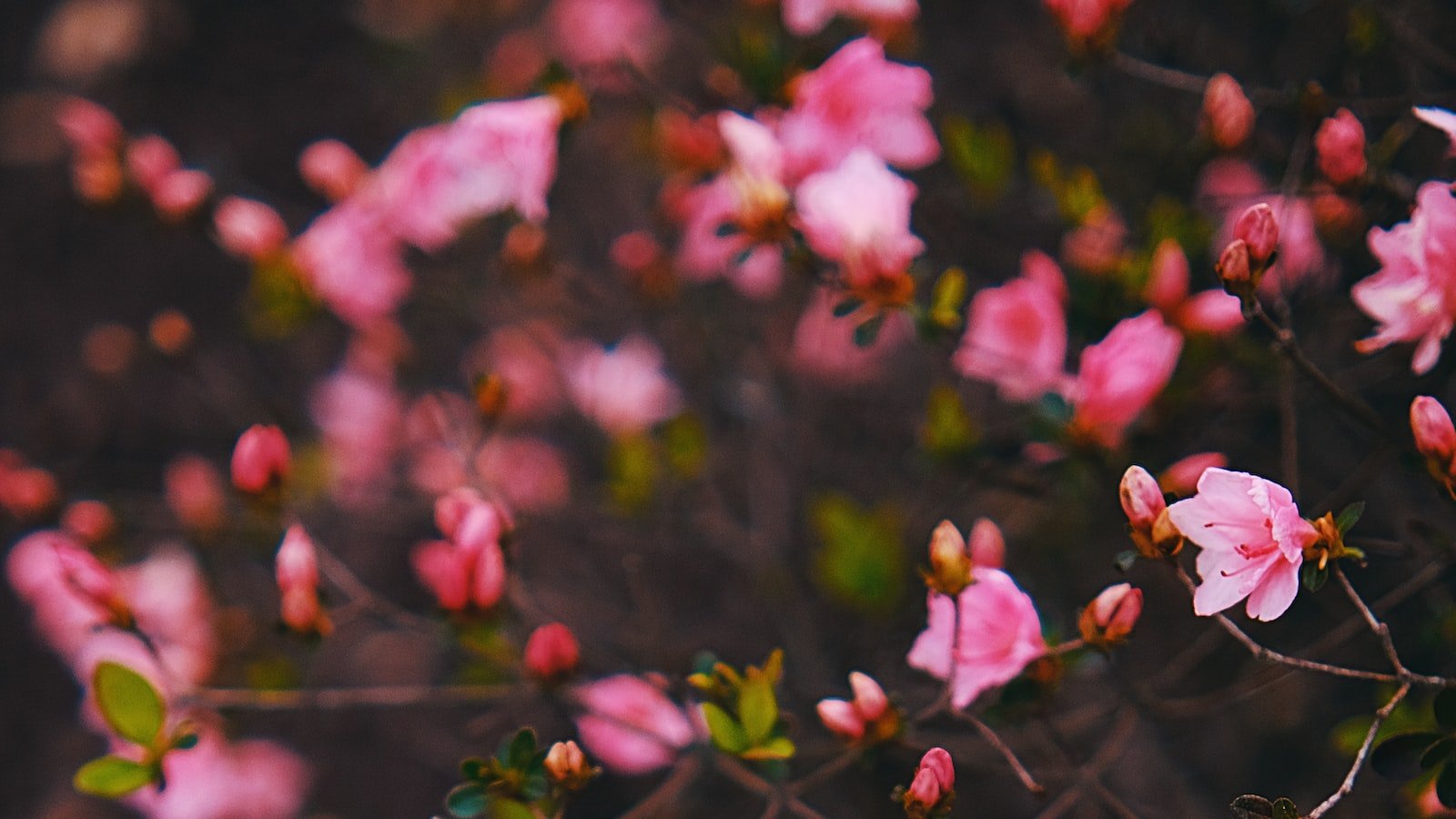 Enhancing‌ Engagement: Recommendations for Successful User-Generated Content​ Competitions