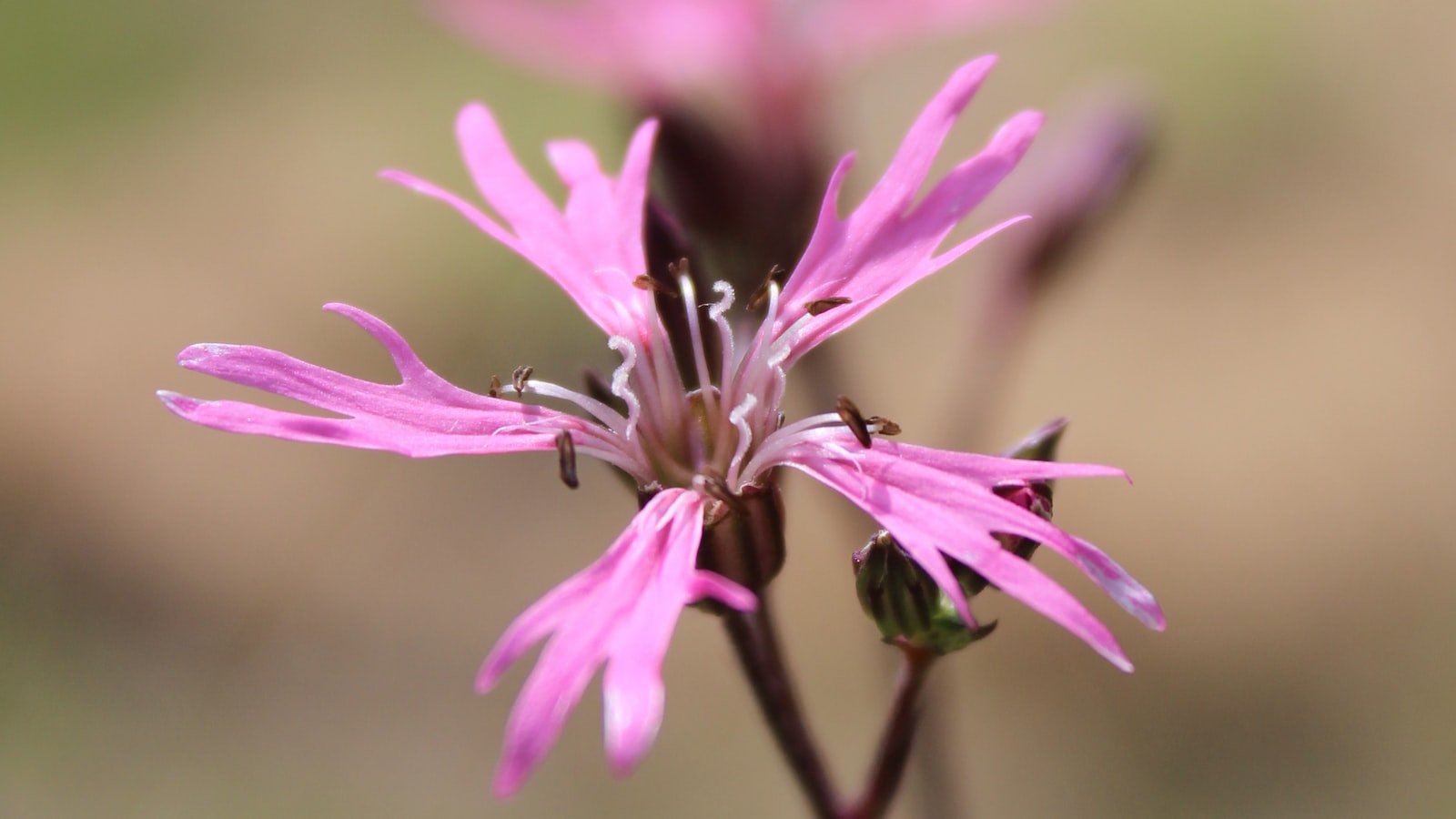 Unveiling the Environmental Impact: How Eco-Friendly Products Can Make a Difference