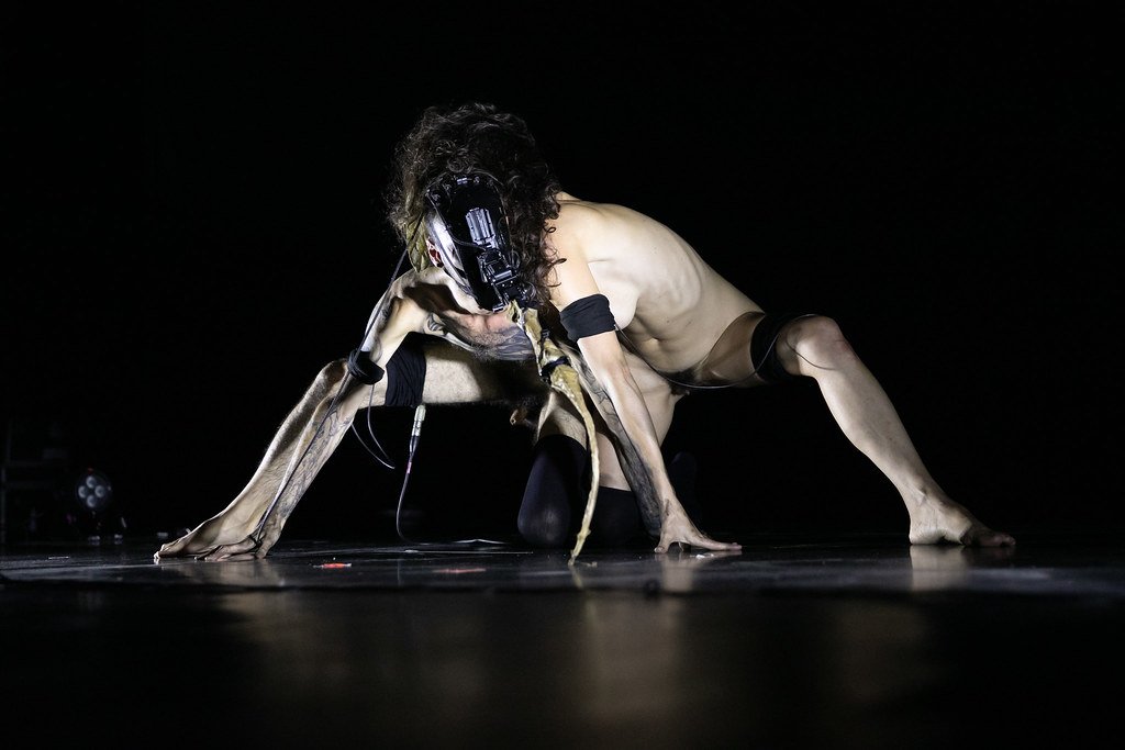 Understanding the Algorithmic Dance: Uncovering the Components and Interactions