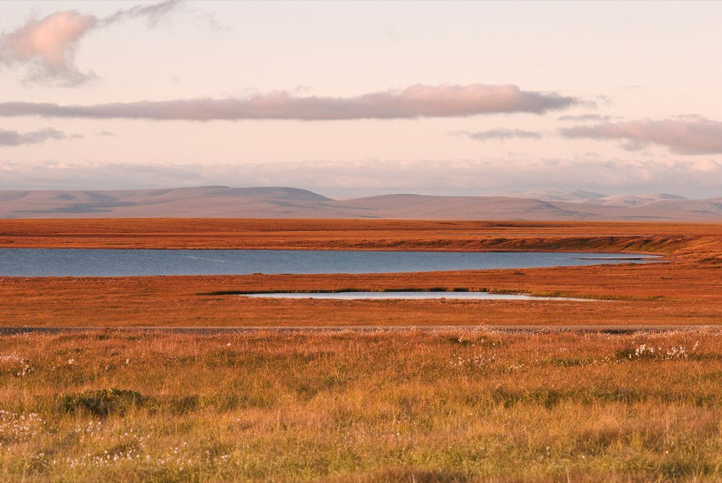 4. Unveiling the Power of Permalinks: Key Techniques to Boost Your Website's Online Presence