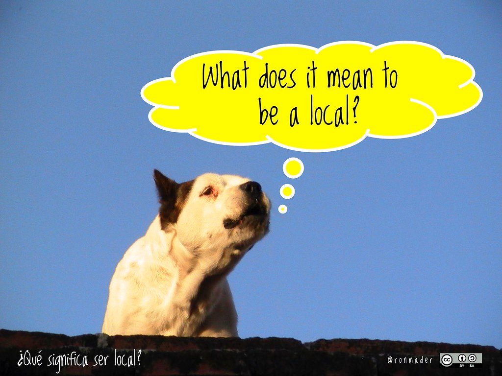 Harnessing the Potential: Key Strategies to Optimize Your Website for Local Voice Search