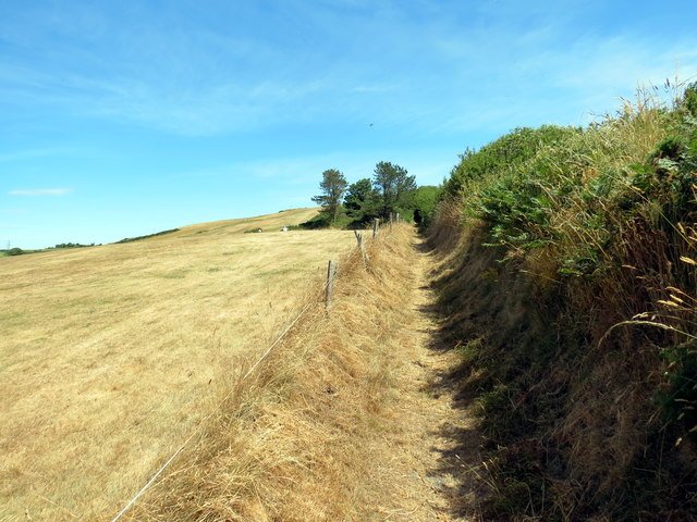 Understanding the Importance of YMYL Content in Website Optimization