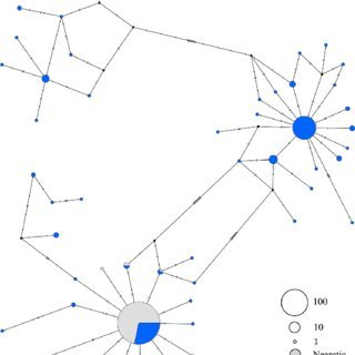 Unveiling the Secrets Behind High CTR Websites: Strategies and Techniques