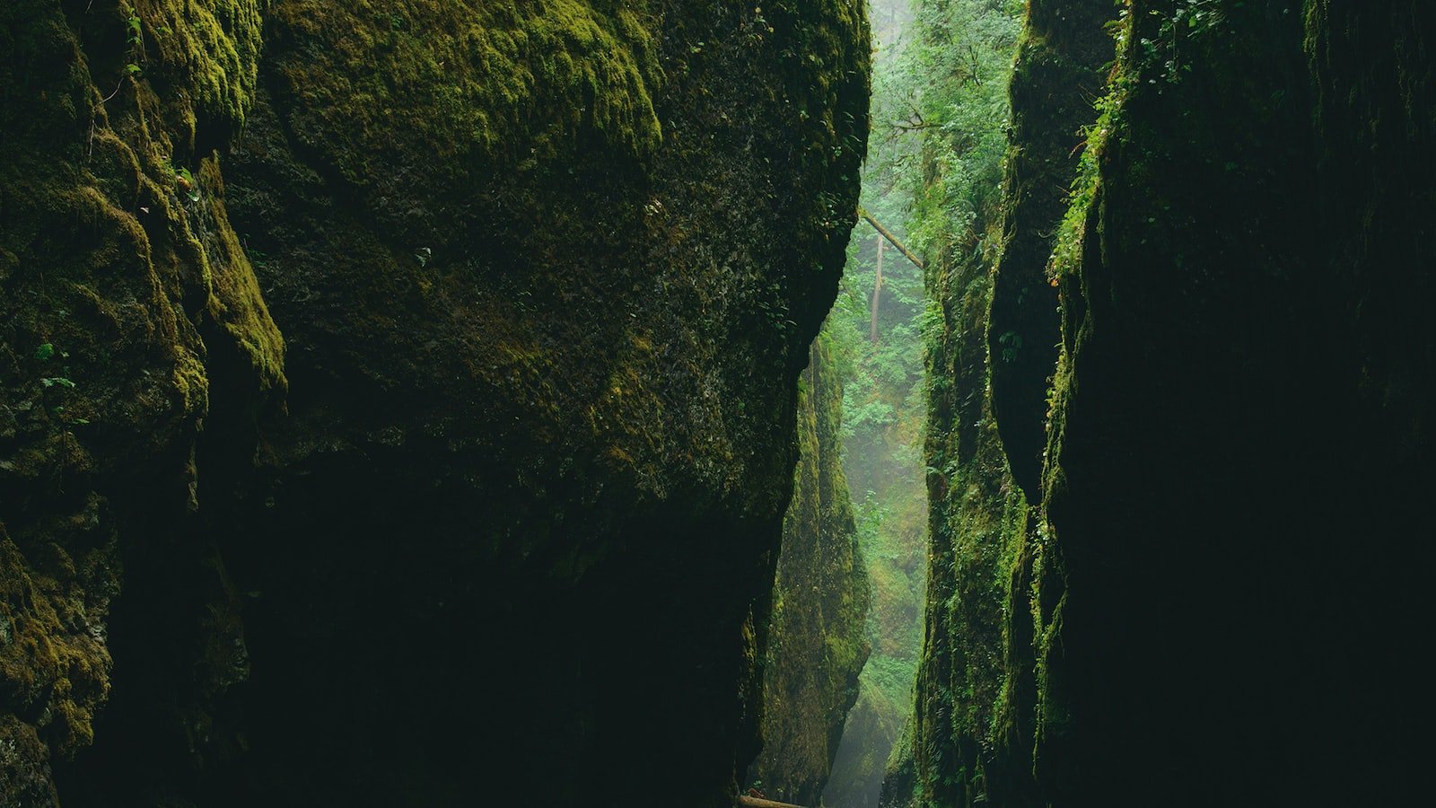 Boosting Sales on Amazon: Strategies and Best Practices for Success