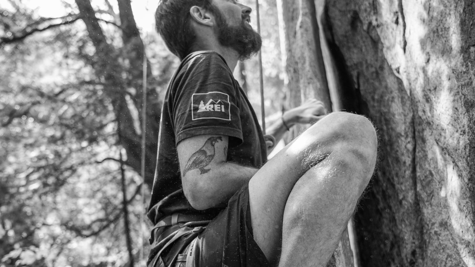 Harnessing the Power of Keywords: Elevating Visibility for Crawlers