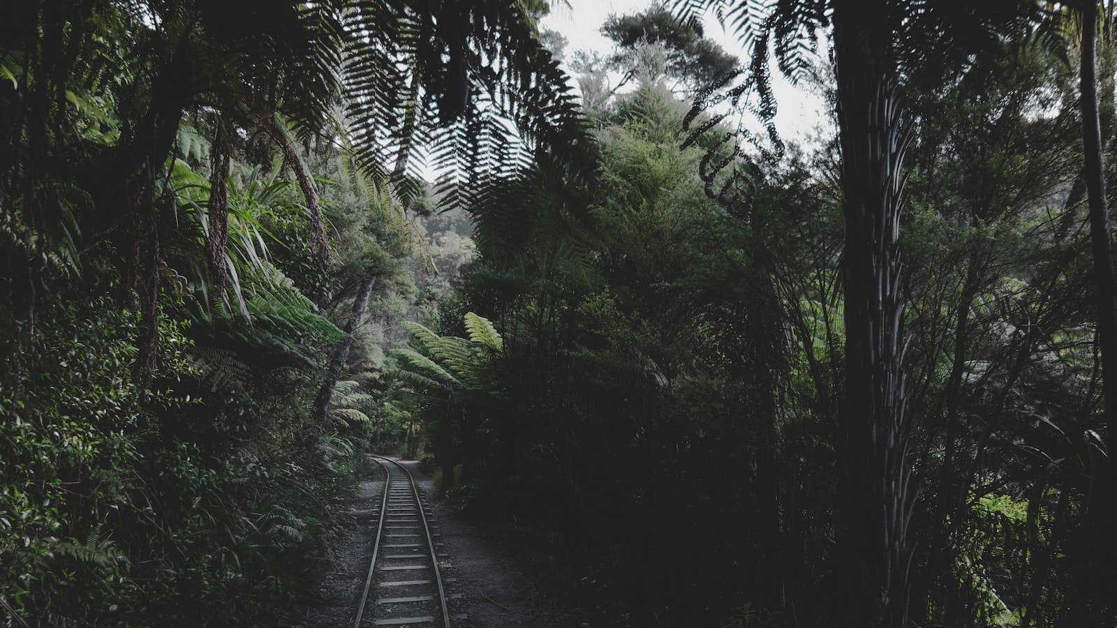 Effective Strategies for Implementing Deep Learning AI in SEO