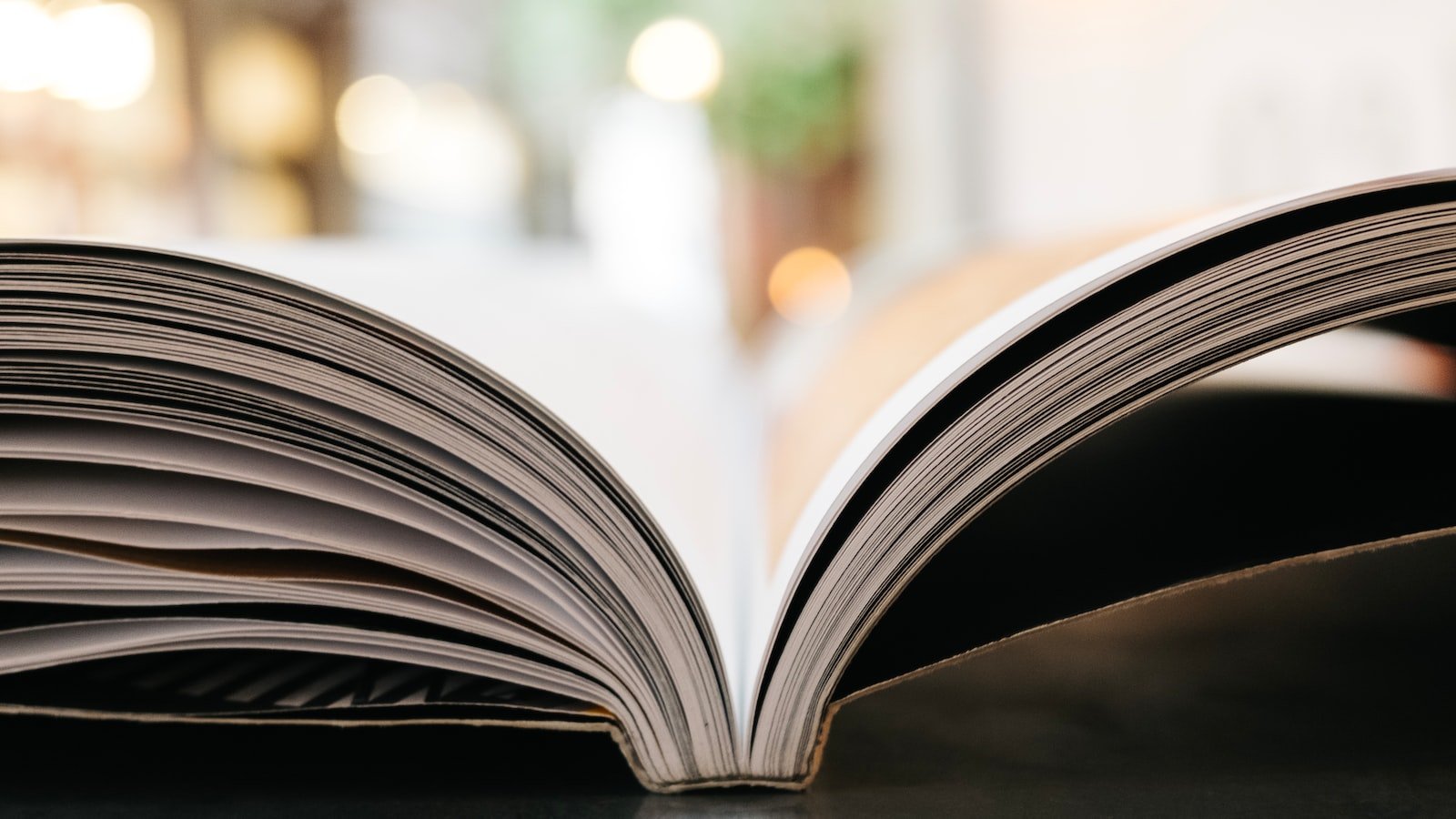 4. Harnessing the Potential of 404 Pages: Best Practices to Transform Errors into SEO Opportunities