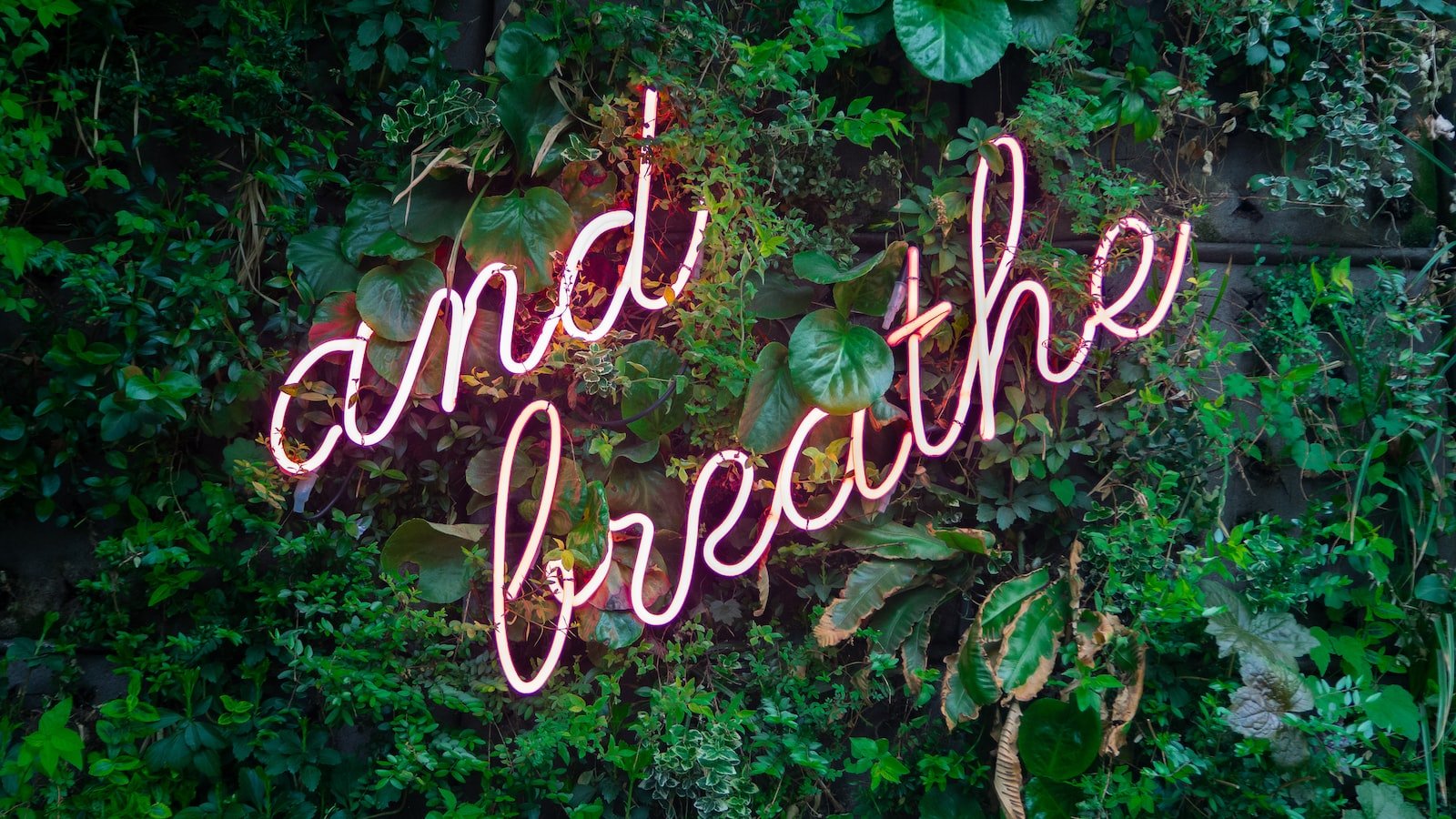 Cracking the Code: Strategies for Optimizing Your Website's Visibility on SERPs