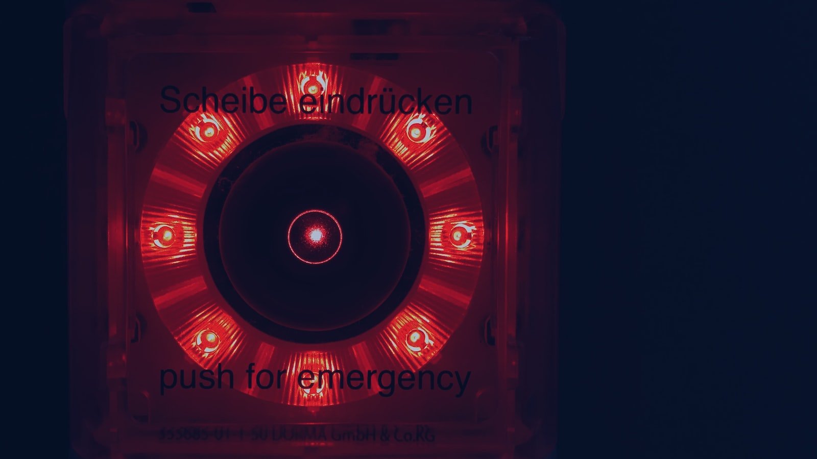 Creating personalized shopping experiences through AI-powered recommendations