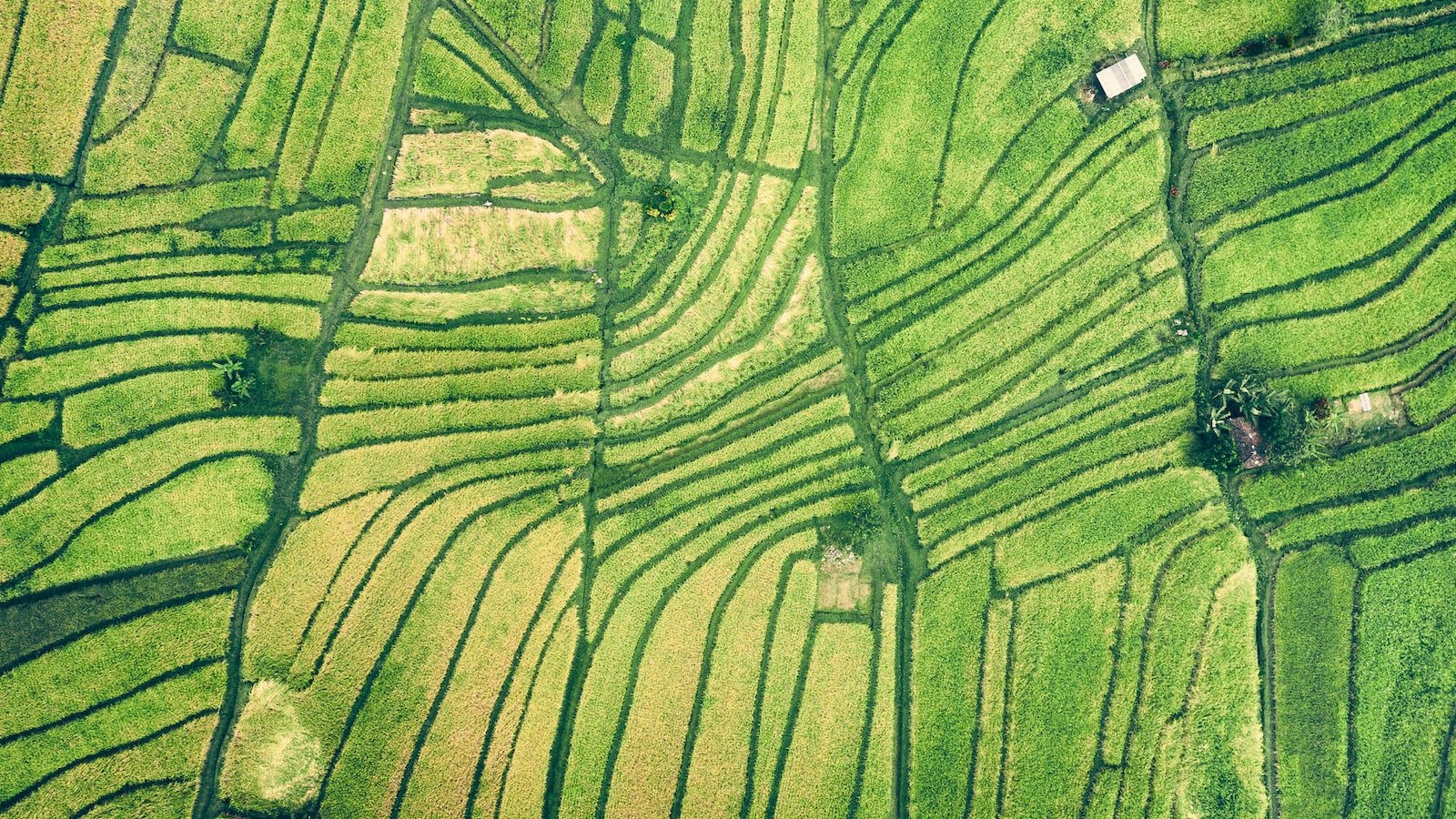 Choosing the Right Approach: Identifying High-Quality Backlink Opportunities