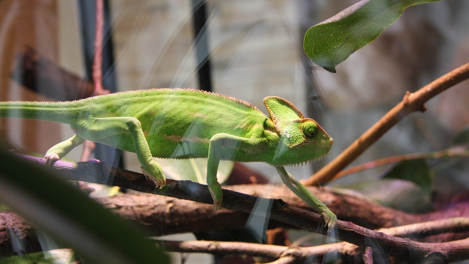 Introduction: Automation at its Finest—Harnessing the Power of Autoresponders1. Streamline Your Communication Efforts: Unlocking the Potential of Autoresponders in Email Marketing
2. Crafting Personalized Experiences: How Autoresponders Revolutionize Customer Engagement
3. Maximizing Efficiency and Time Savings: Proven Strategies to Leverage Autoresponders Effectively
4. Building Lasting Connections: Top Tips to Create Compelling Autoresponder Sequences