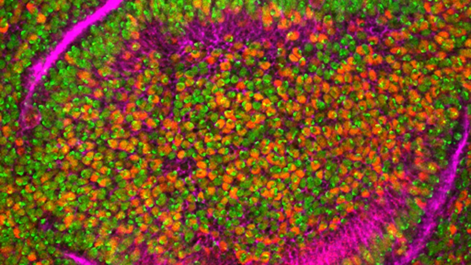 The ⁢Evolution of Sentiment Analysis⁢ in Social Media Monitoring
Unleashing the Power of Sentiment Analysis: Key Insights for Effective Social Media Monitoring
Leveraging Sentiment Analysis: Best Practices and Recommendations‍ for Enhanced Social Media Monitoring
Maximizing the⁣ Potential of Sentiment Analysis: ⁣Strategies for Empowered Social Media ⁣Monitoring