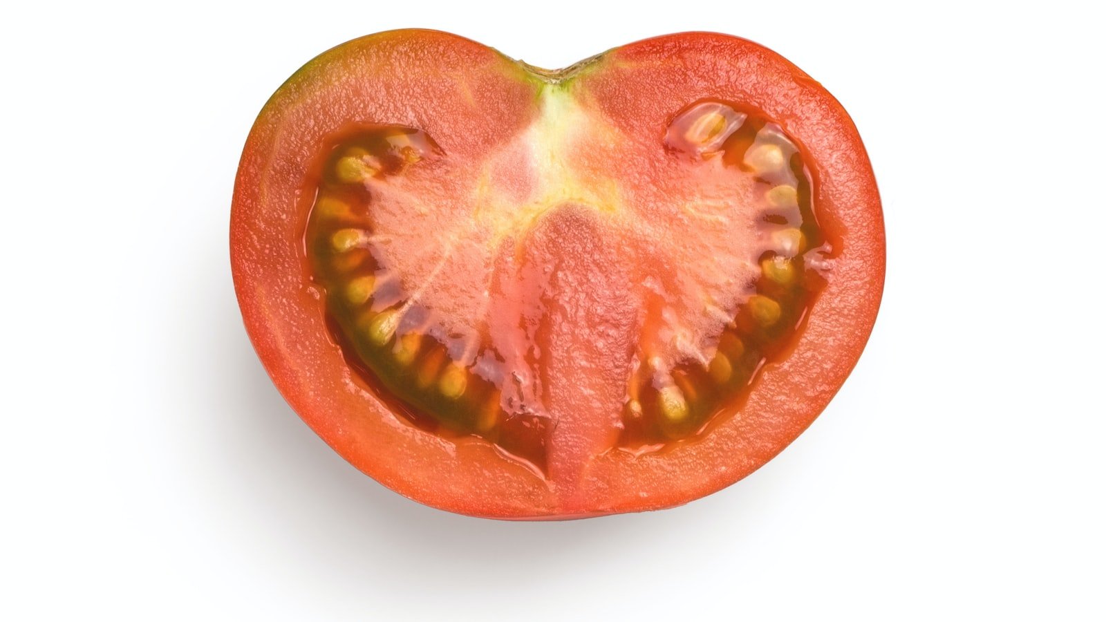 Understanding the Organic Search Landscape: Delving into its Intricacies and Importance