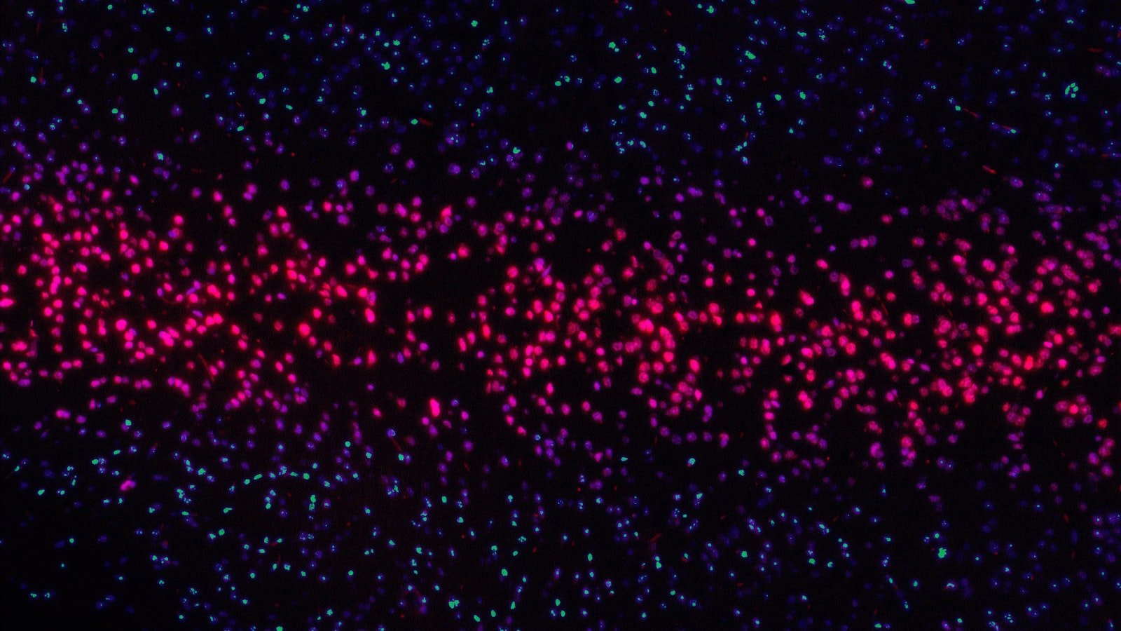 Understanding Competitor Keyword Analysis: Unleashing the Power of Insight