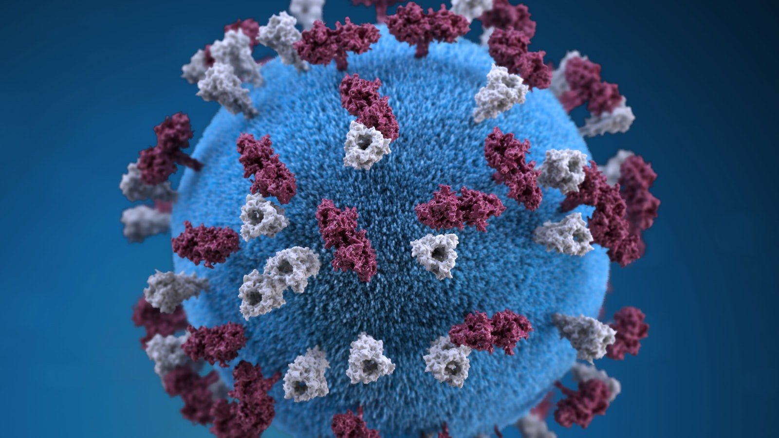 The Power of Image Optimization on Pinterest: Boosting Engagement and Reach