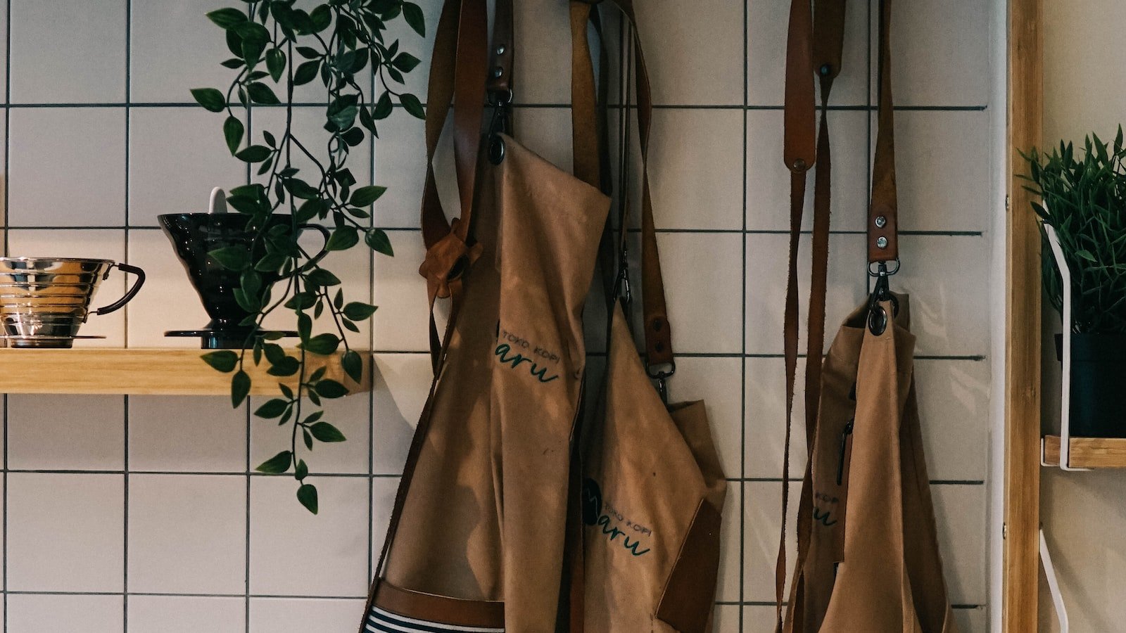 Understanding the Nofollow Attribute: Shattering the Web's Best-Kept Secret