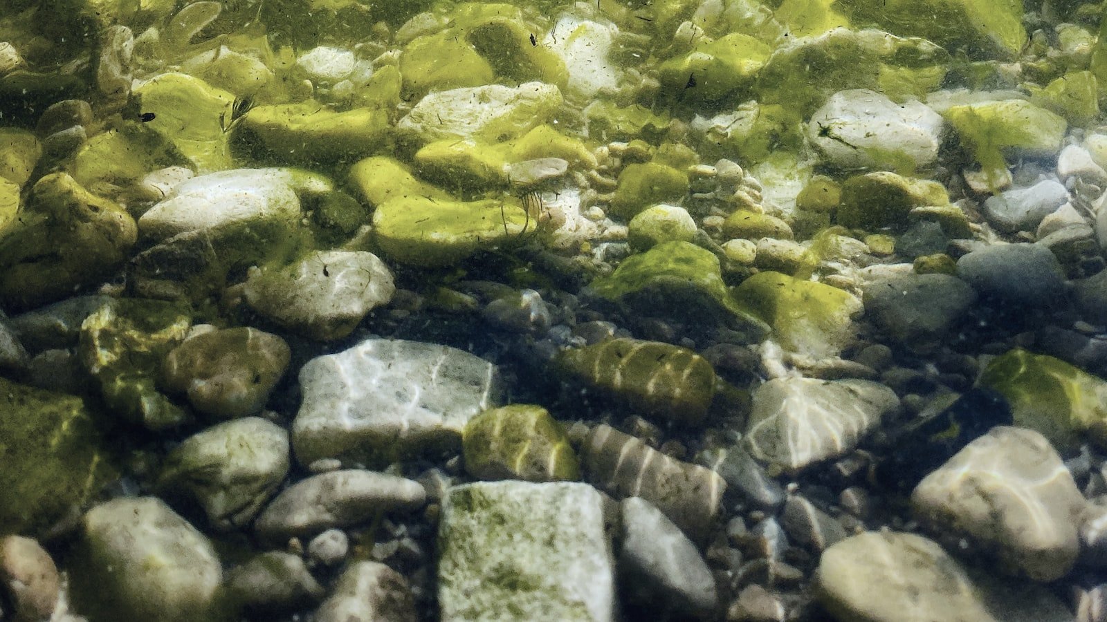 Unveiling the Power of Zero-Click Gold: Strategies for Success