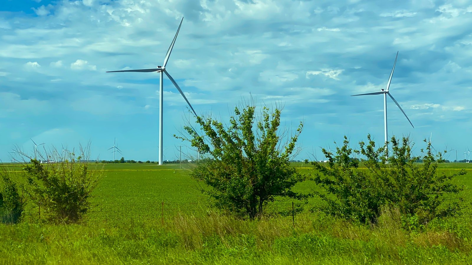 Championing Eco-Friendly Products: ⁢A Step ​towards a ⁢Sustainable‌ Future