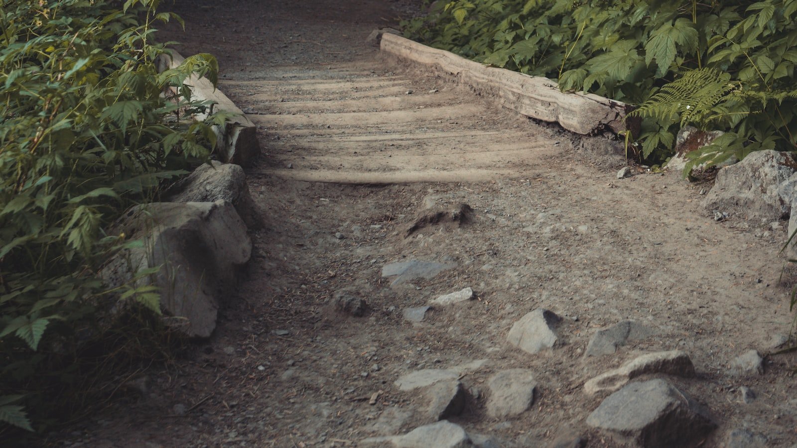 Arming Your Defense: Key Strategies for Preventing and Mitigating Fraudulent Activities