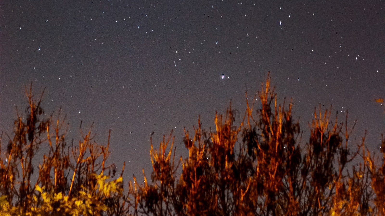 4. Nurturing Long-Term Relationships: Proven Strategies to Delight Customers and Drive Repeat Business