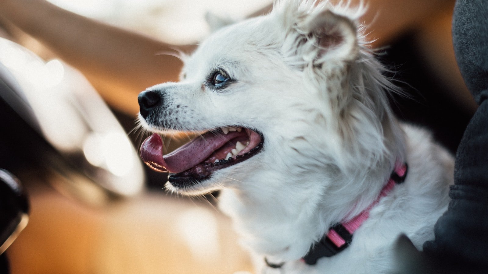 Driving Business Success: Maximizing Scalability through Innovation