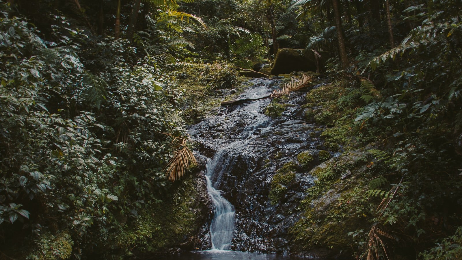 Unlocking the Potential⁣ of Video Marketing: Best⁤ Practices and Insights