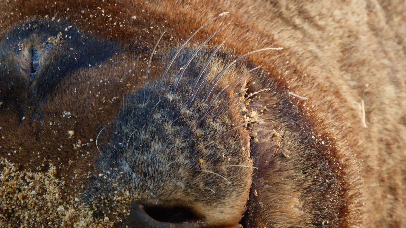 2. Unleashing the Power of Content Hubs: Strategies to Create Effective Interlinked Content