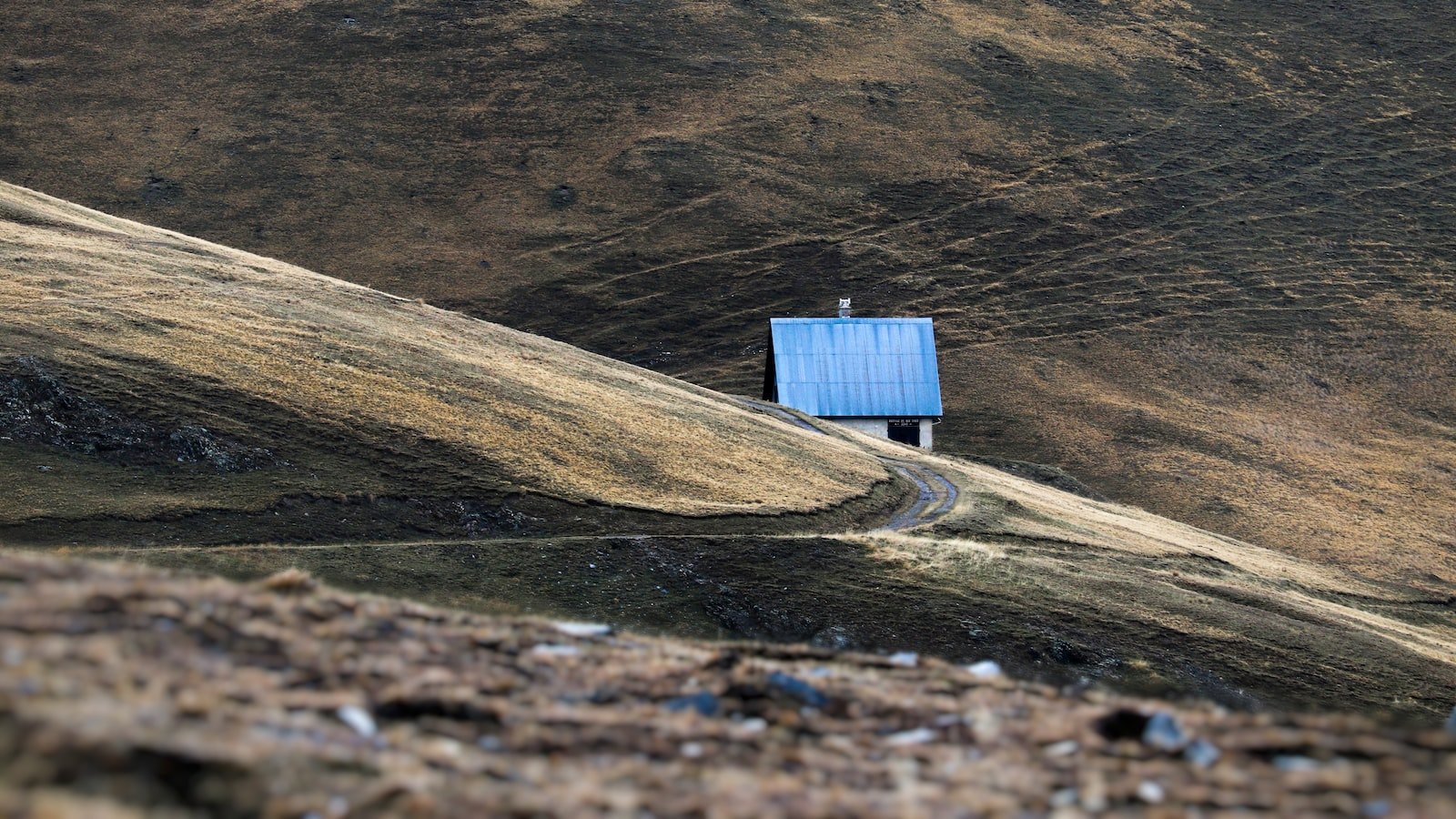 Harnessing the Power of Positive Online Reputation: A Practical Guide to Boosting SEO Performance