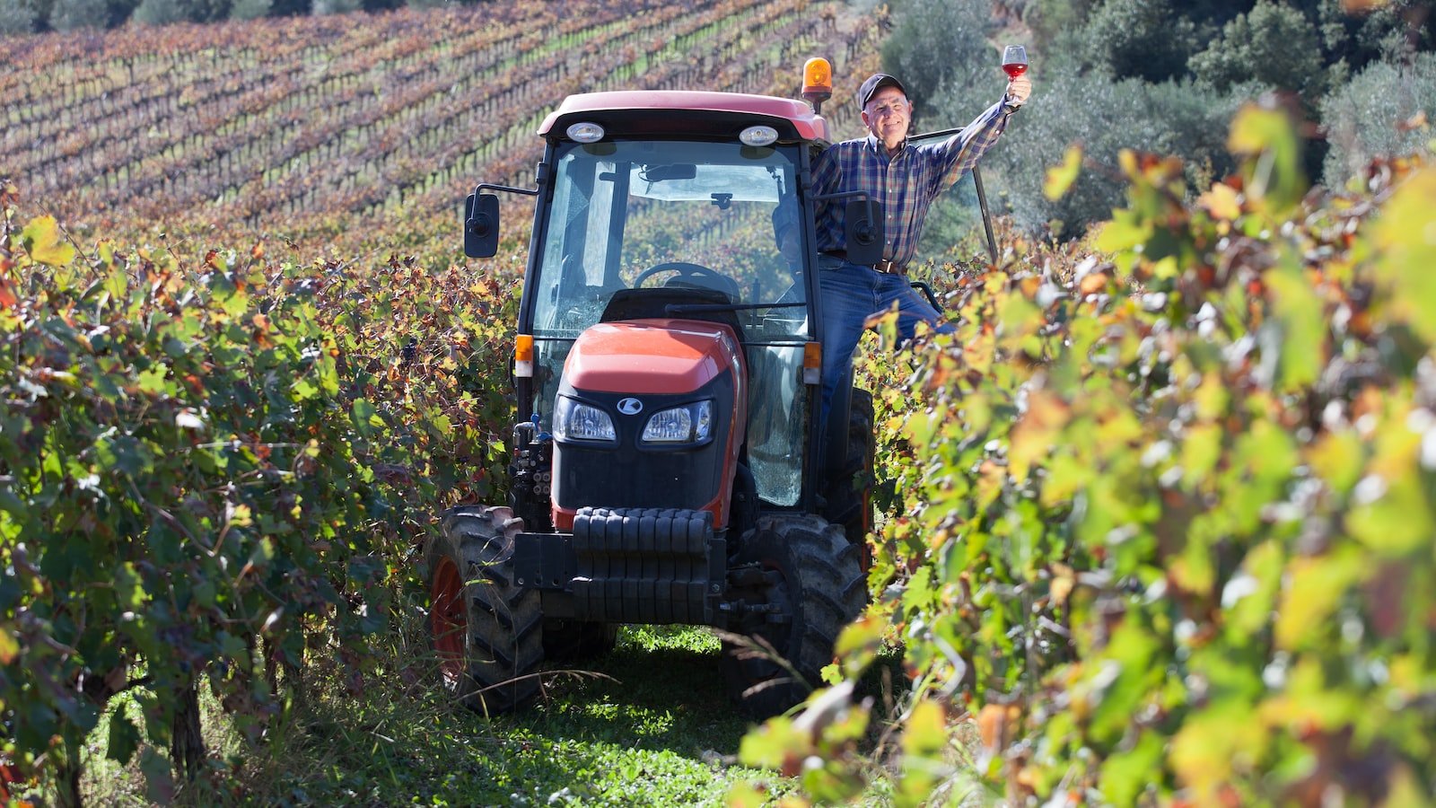 Maximizing Organic Search Rankings: Strategies to Enhance Visibility and Reach