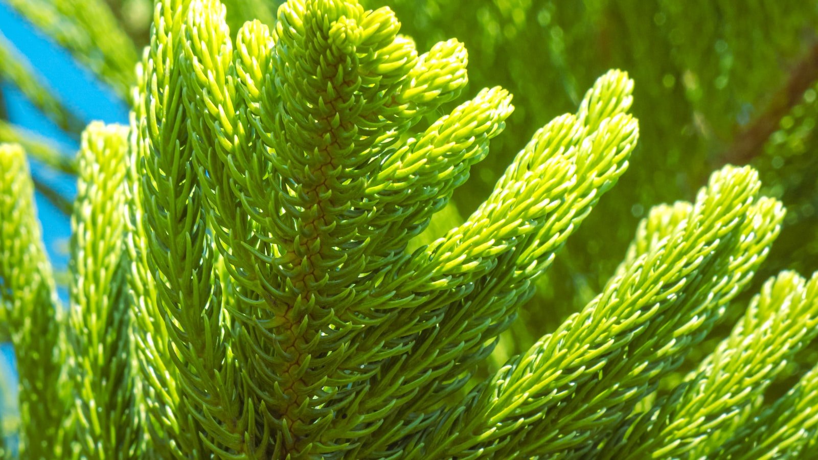 The Importance of Effective Inventory Management