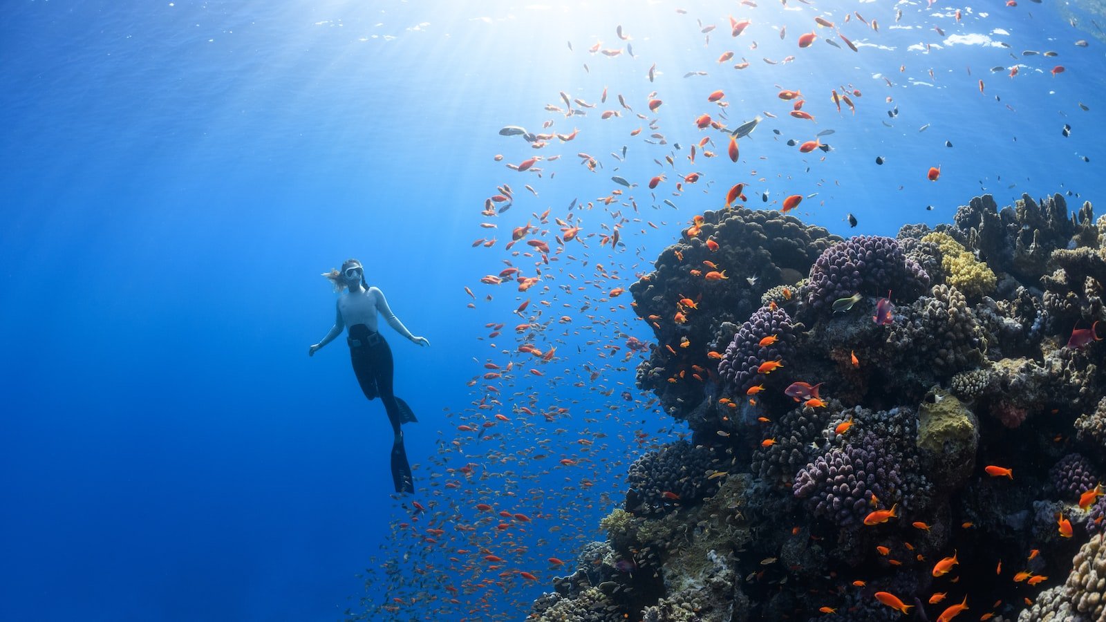 The Power ⁣of First Impressions: ⁢Enhancing the Unboxing Experience⁣ with Thoughtful Branded Packaging