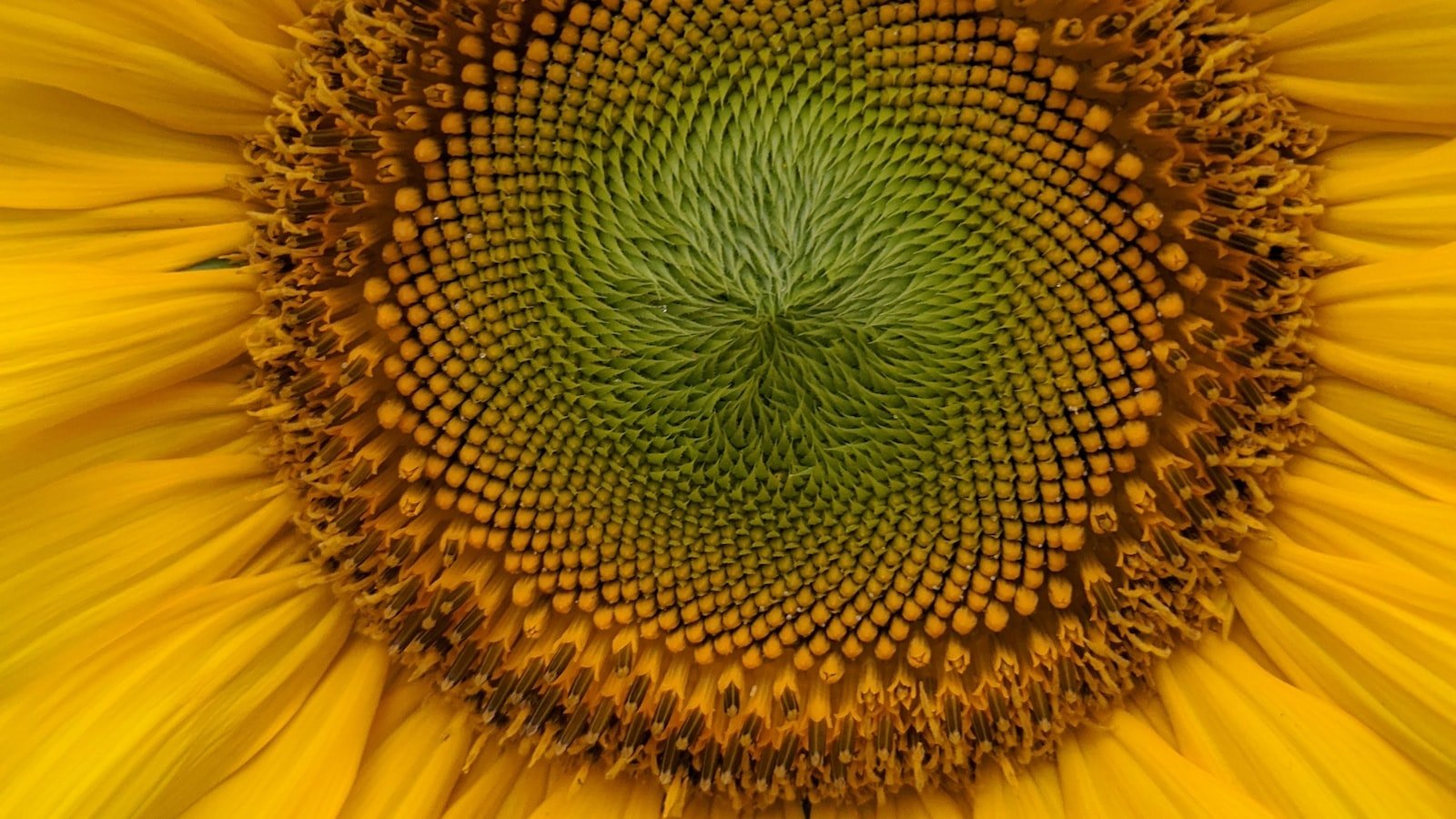 1. The⁢ Power of Proactive Planning: Why a⁢ Crisis​ Control Blueprint is Essential for Safeguarding Your Online ⁢Reputation
2. Navigating ⁢the Storm: Insights into Crafting an Effective⁣ Crisis Control‌ Blueprint
3. Protecting Your Digital Footprint: Key Recommendations for Building a Resilient Online ⁤Reputation
4. Beyond Damage Control: How to Leverage a Crisis to Strengthen Your ⁢Brand's Online Presence