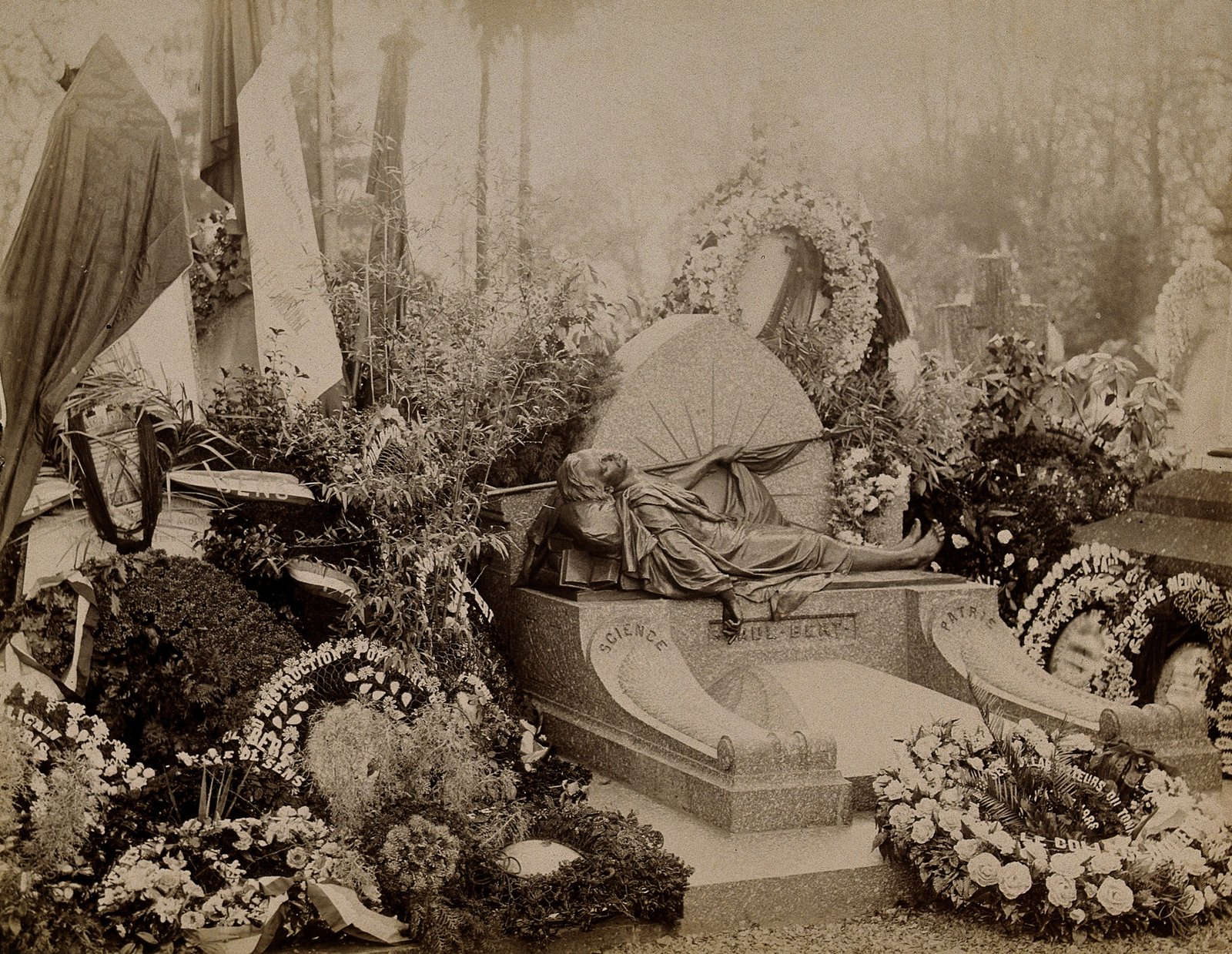 Understanding BERT: Unleashing the Power of Contextualized Language Models