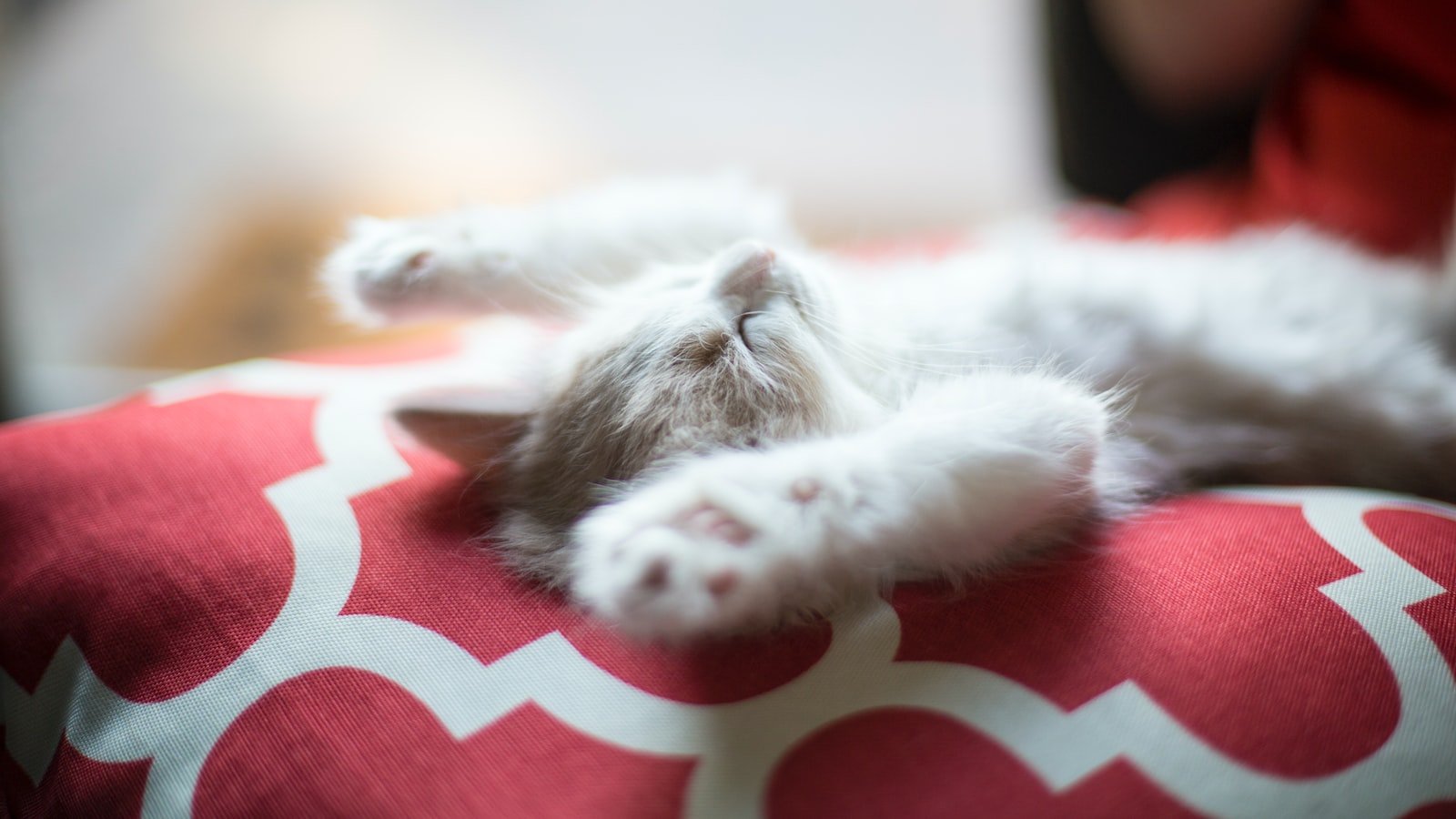 Unleashing‌ the‍ Potential of Content Curation: Unlocking the Value of ​Curated Content
Enhancing User Engagement: Empowering Your Audience through Curated Content
Building Trust and⁢ Authority: ⁣Leveraging Content Curation for Brand Growth
Maximizing Outreach: Optimizing Content‍ Curation Strategies to Expand Your Reach