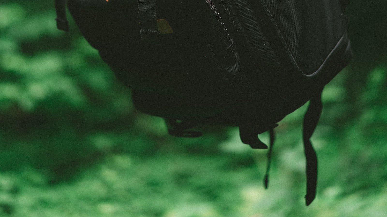 Maximizing Engagement: Tips and Tricks for Creating Effective Visual Content