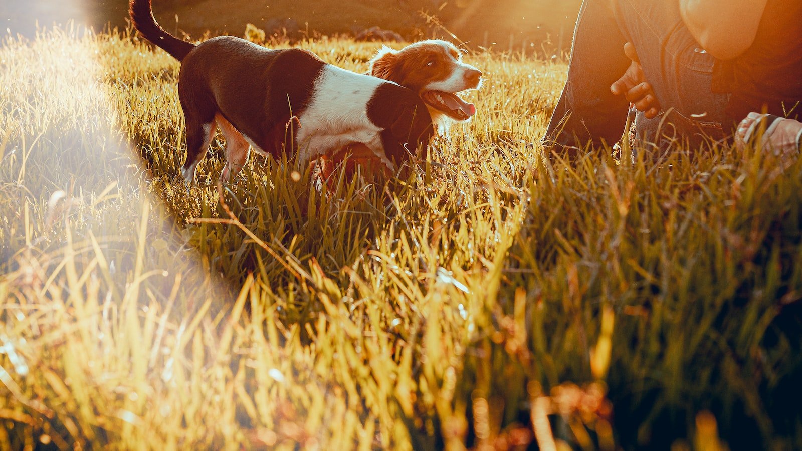 Unlocking Off-Page SEO's Hidden Gems: Nurturing Relationships Through Online PR